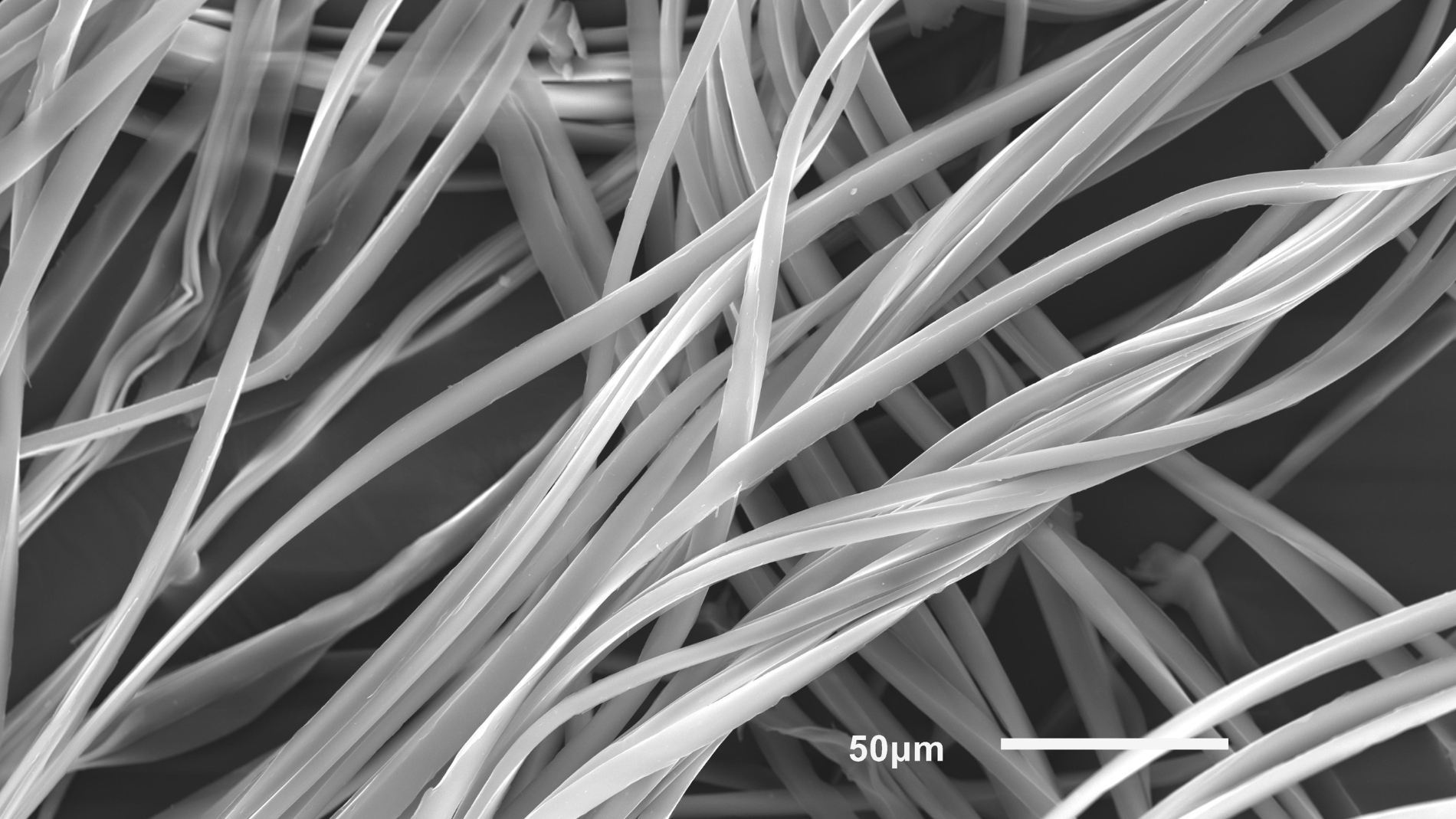 REM image of the fibres of a microfibre cleaning cloth made of 88% polyester and 12% polyamide (400x magnification).
