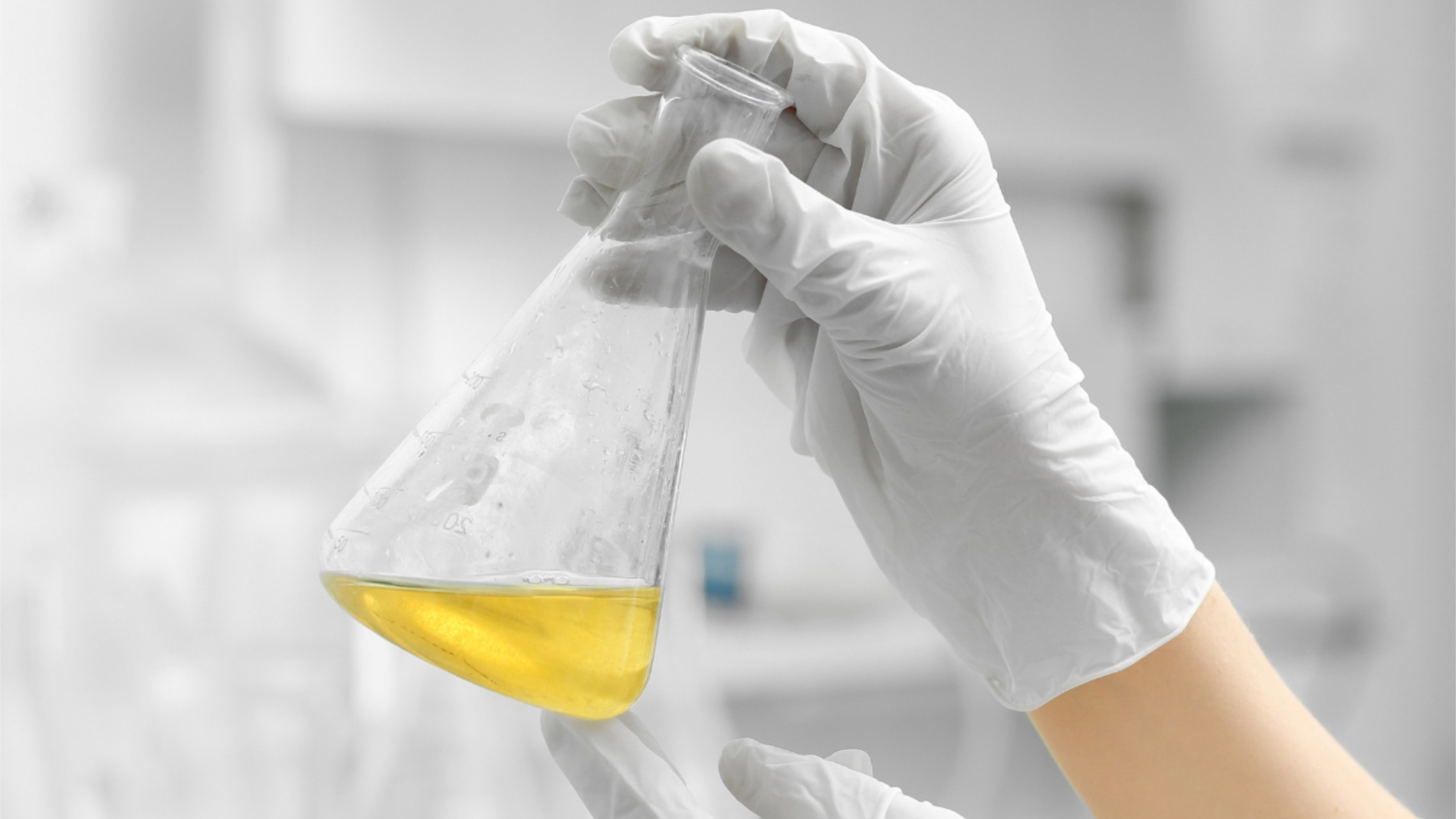 Test tube in the laboratory